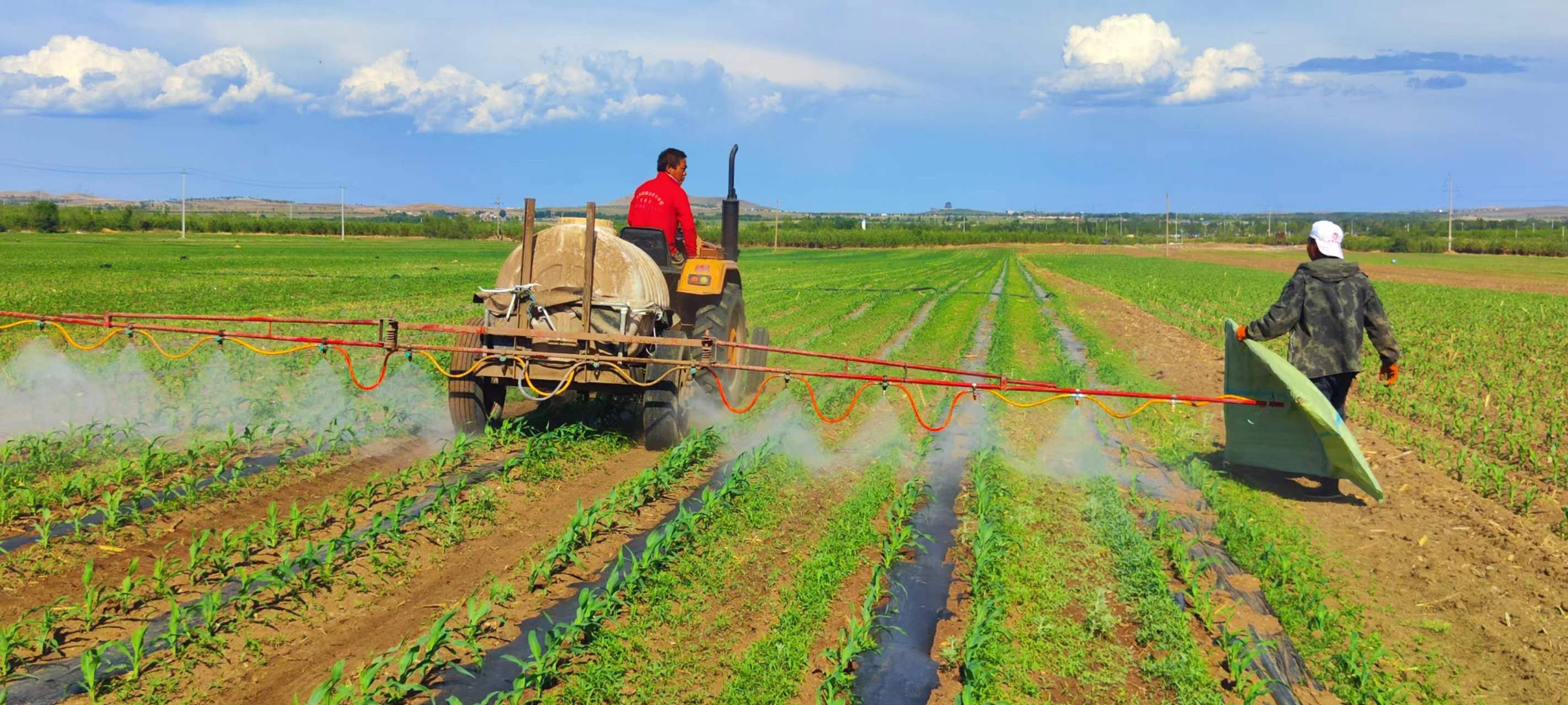 1715071120373969mApf.jpg 1715071120373969mApf.jpg