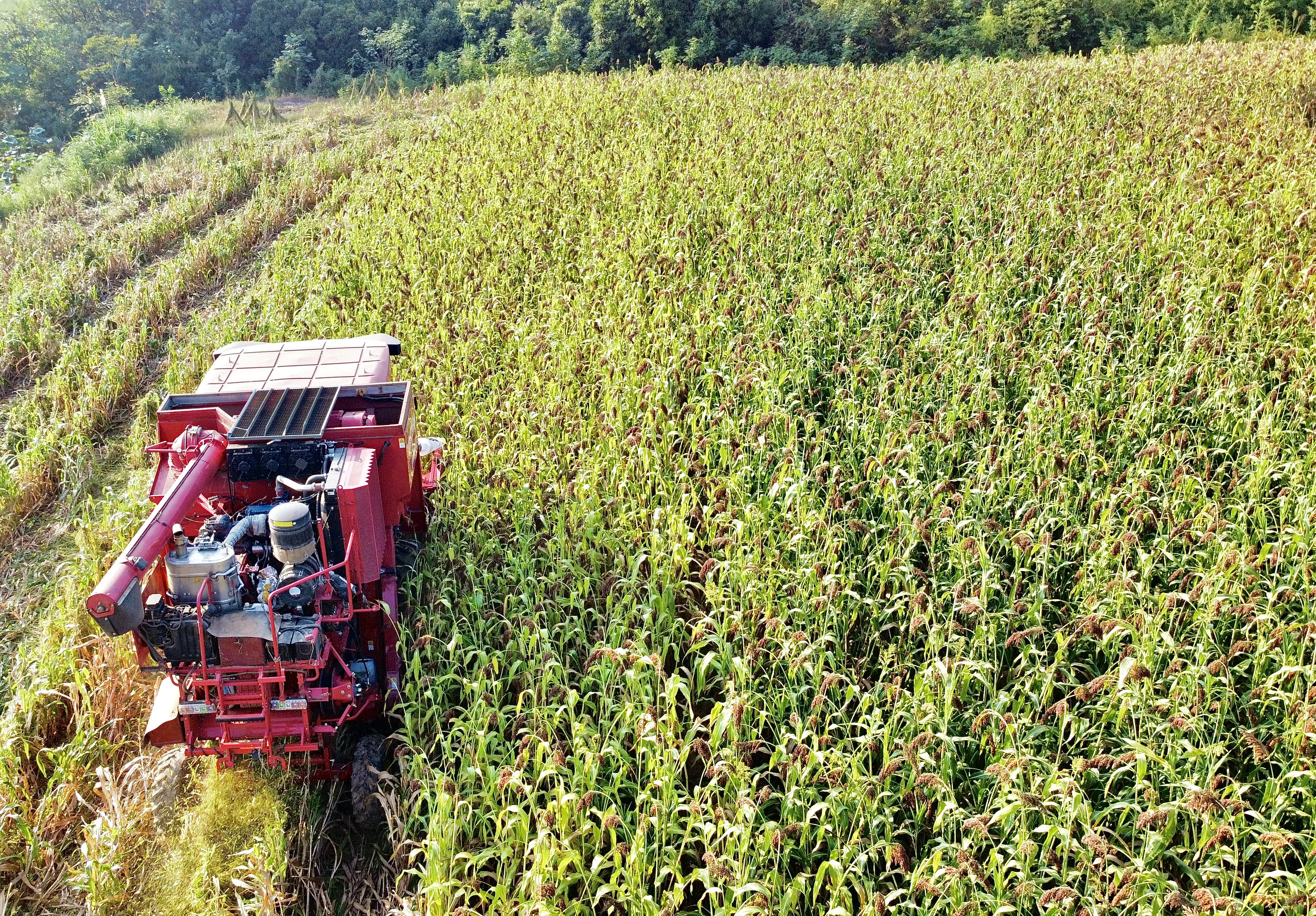 1727056288939949qFPr.jpg 1727056288939949qFPr.jpg