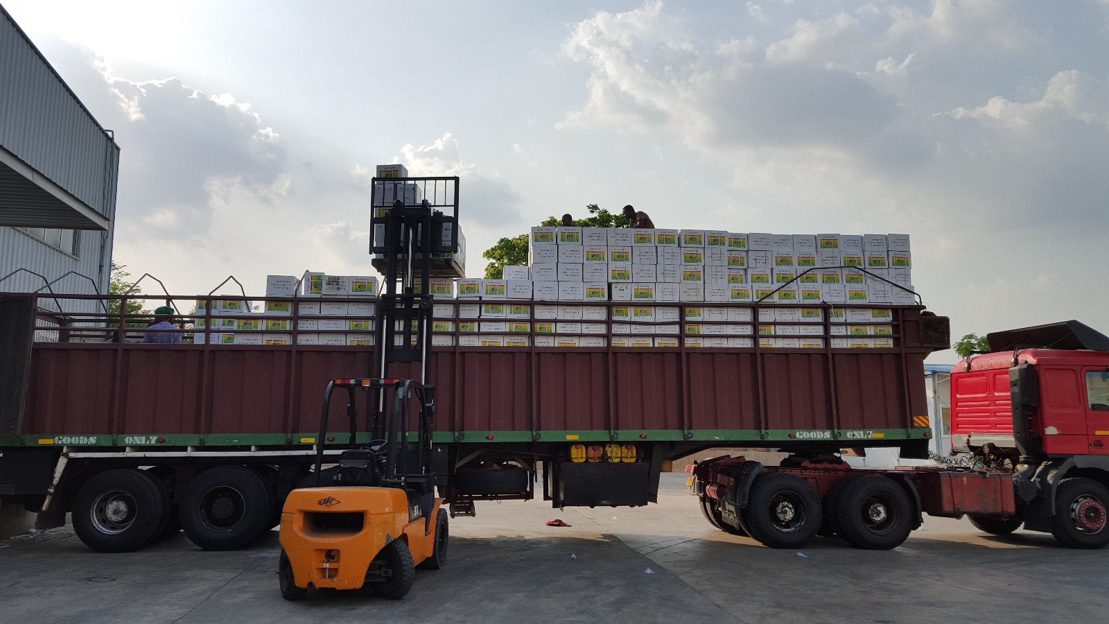 1494554447109336qTTO.jpg 1.jpg