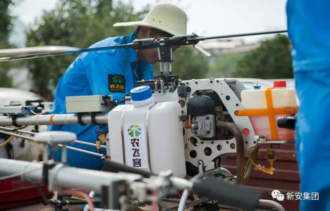 153109748975505653kW.jpg 微信图片_20180709084747.jpg